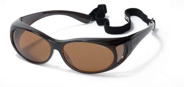 Brillenmarken Polaroid Suncovers P8900G Brown Sonnenbrille