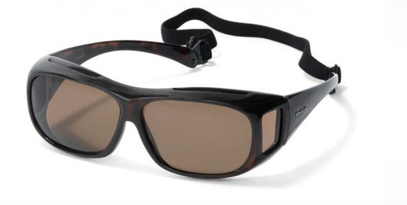 Brillenmarken Polaroid Suncovers P8535K Demi Brown Sonnenbrille